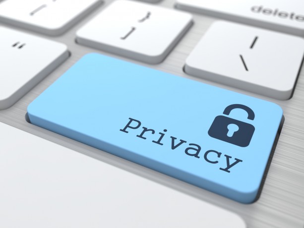 Incorporate in Nevada Privacy
