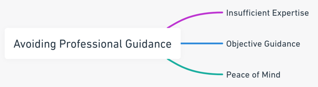 Mind map outlining the importance of professional guidance in divorce, covering expertise, objective advice, and peace of mind.