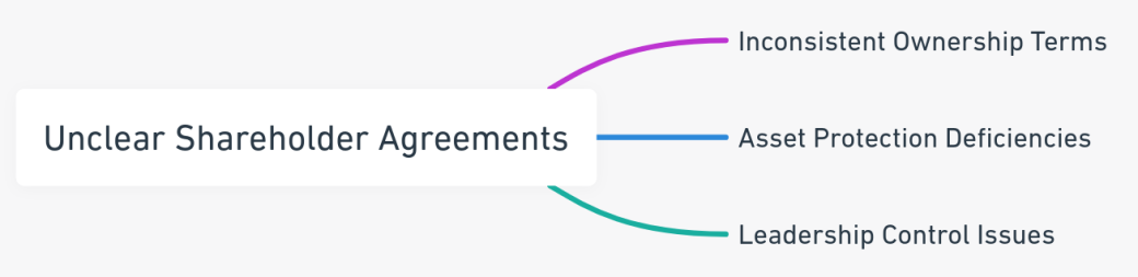 Mind map on the complexities of shareholder agreements.