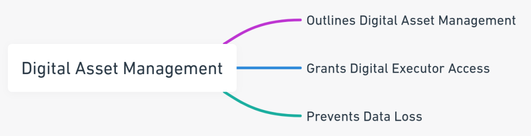 Mind map outlining the key components of digital asset management in estate planning.