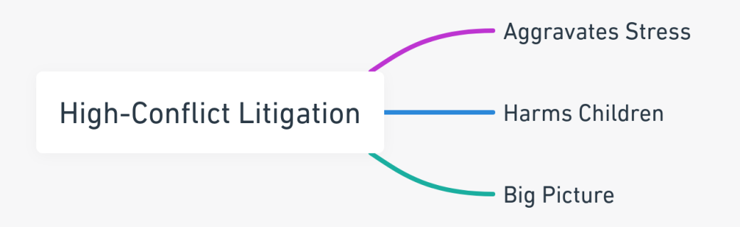 Mind map showing the negative effects of high-conflict litigation during a divorce in California.