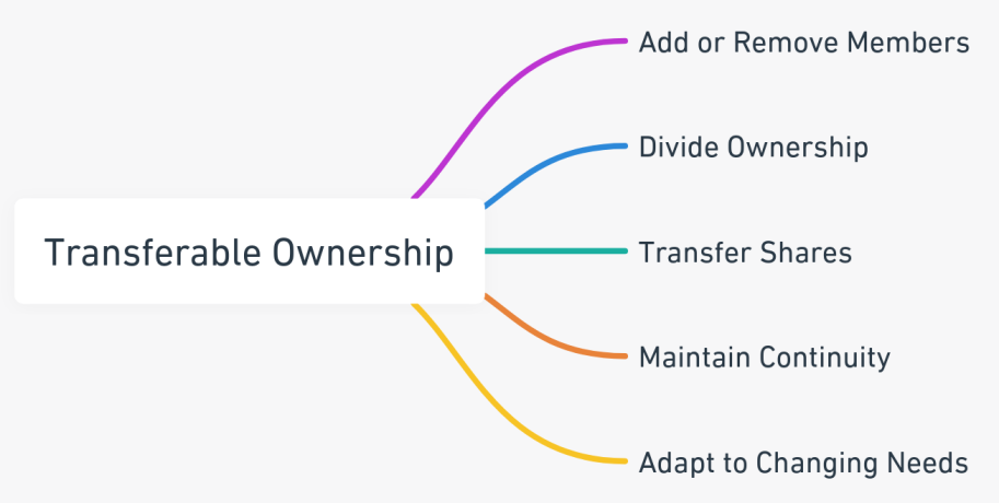 Mind map illustrating the benefits of transferable ownership in an LLC in California, including the ease of adding or removing members, dividing ownership, transferring shares, maintaining business continuity, and adapting to changing needs.