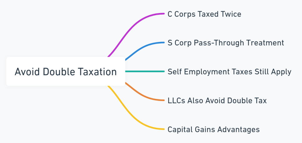 Mind map outlining the key points on avoiding double taxation in S corporations.