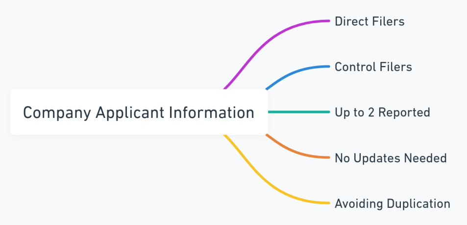 Mind map summarizing the criteria for company applicant information under the CTA.