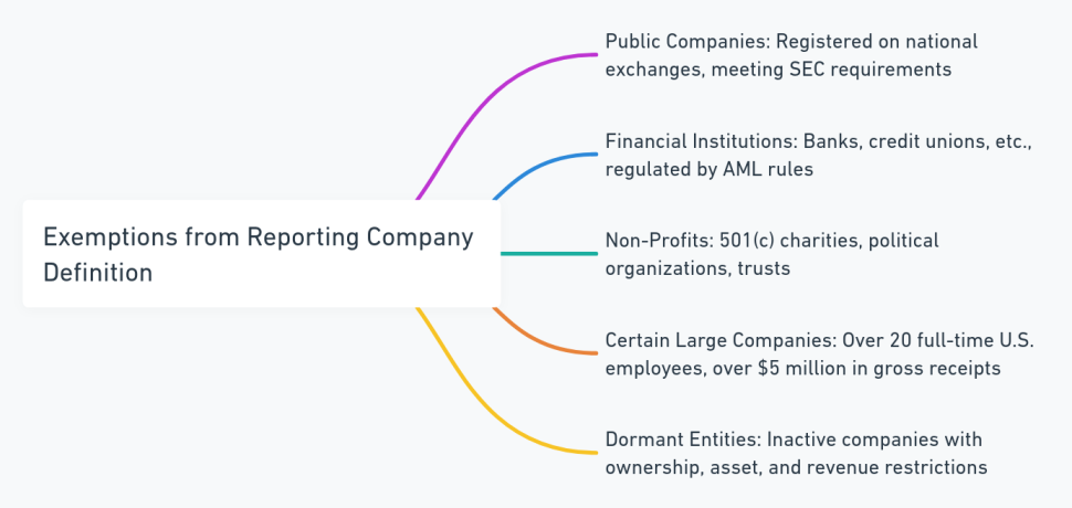 Overview of exemptions from the reporting company definition under the CTA