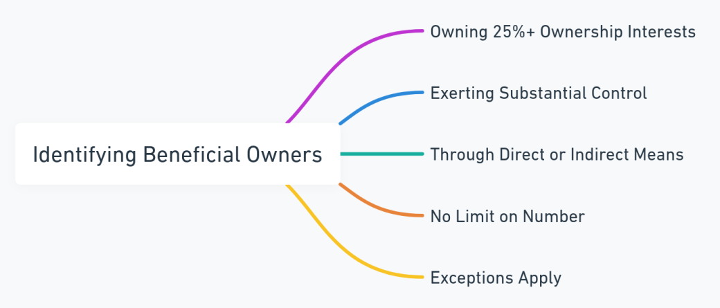 Mind map for identifying beneficial owners as per the CTA