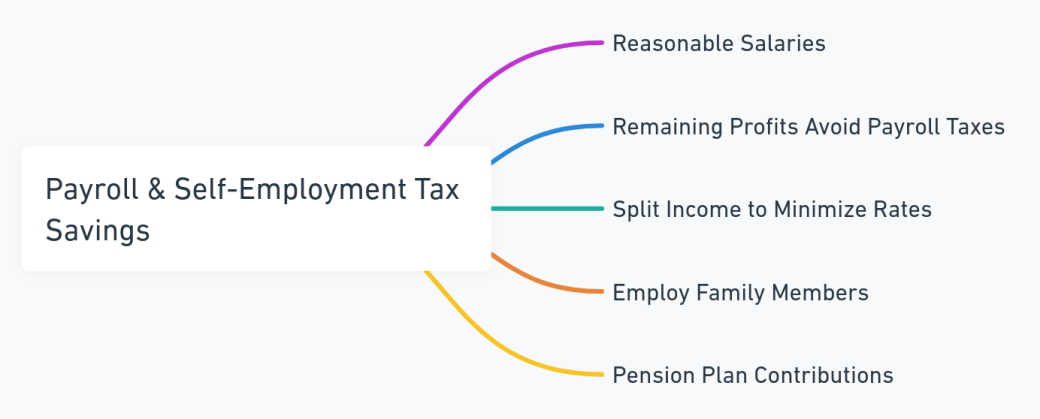 Mind map detailing payroll and self-employment tax savings in S corporations.