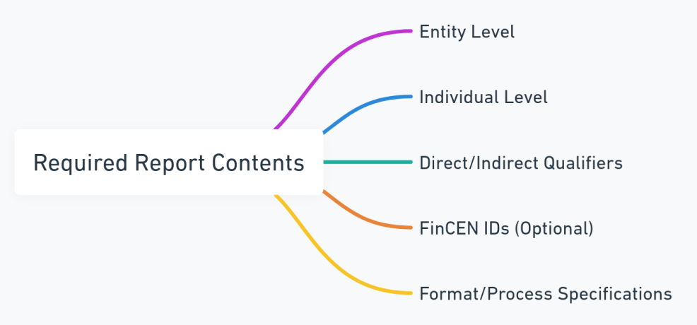 Mind map displaying the essential elements of required reports under the Corporate Transparency Act.