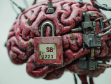 Mechanical brain with SB 1223 padlock protecting neural data