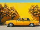 Vintage yellow sedan parked between orange trees against yellow wall